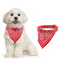 Pip de compagnie réglable Cat Cat Coun Scarf Bandana